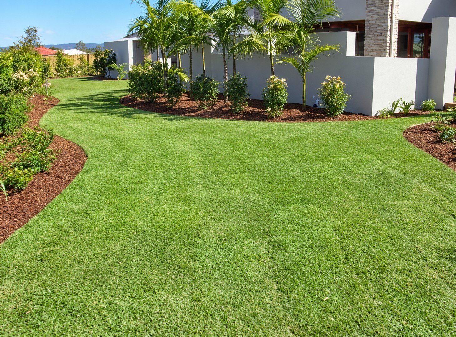 Lush lawn bordered by curved garden beds and palms