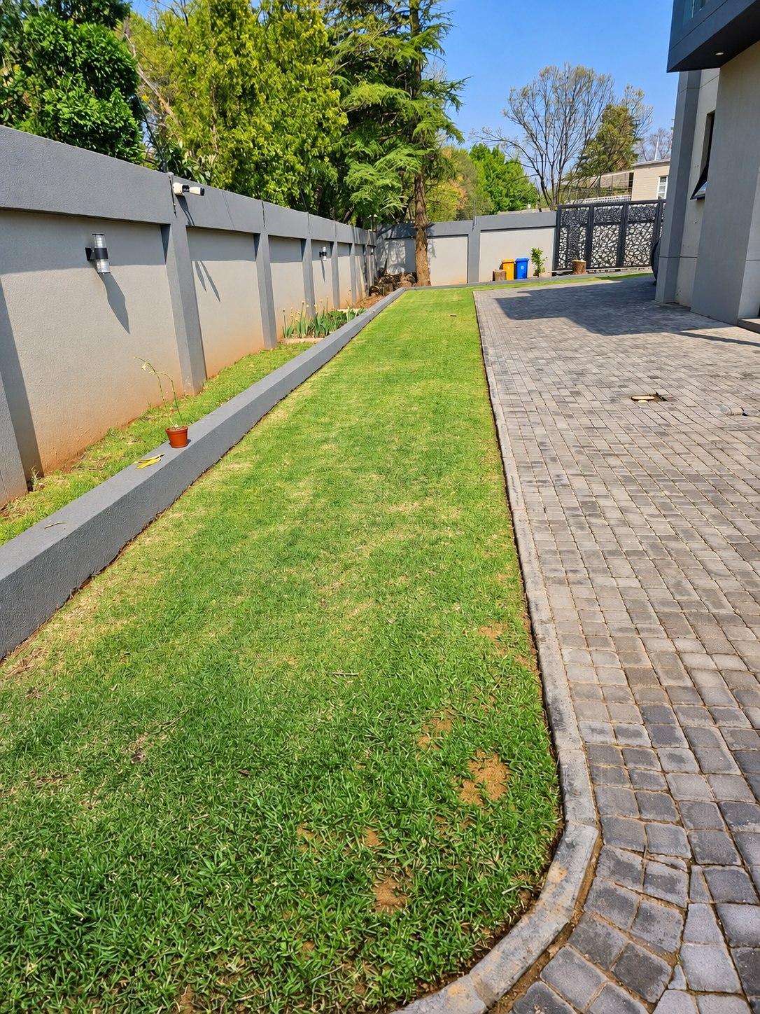 Long finished lawn beside a driveway with a colourful planted border